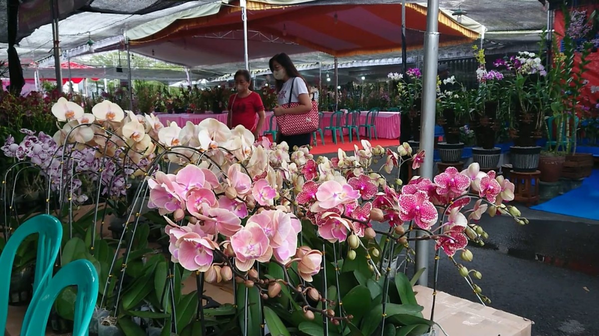 Tulungagung Orchid Show 2023, Wabup Borong Anggrek untuk Istri, Ciiyyeee...