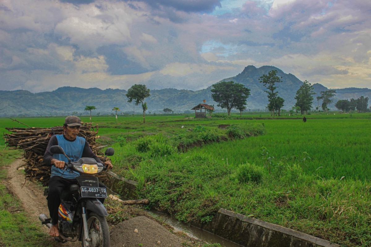 Lahan Pertanian Pangan Berkelanjutan di Tulungagung Menyusut Ribuan Hektare