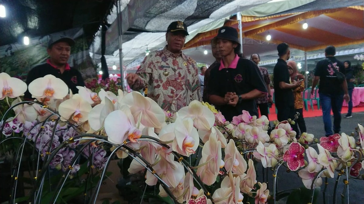 Tulungagung Orchid Show, Hilang Misterius, Elite Parpol Bertemu