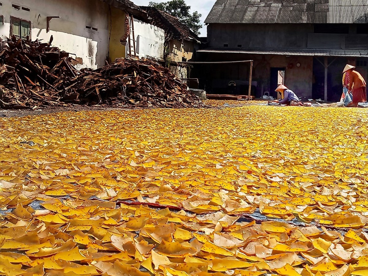 Produksi Kerupuk Tempe Desa Puger Kulon Jember Turun akibat Cuaca Tak Menentu
