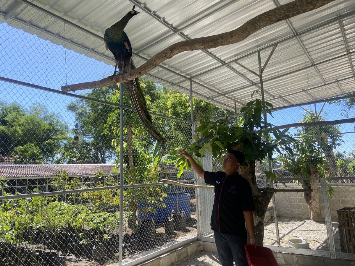 Rian Priya Handoko saat di kandang meraknya. (Foto: Ahmad Fauzani/jatimnow.com)