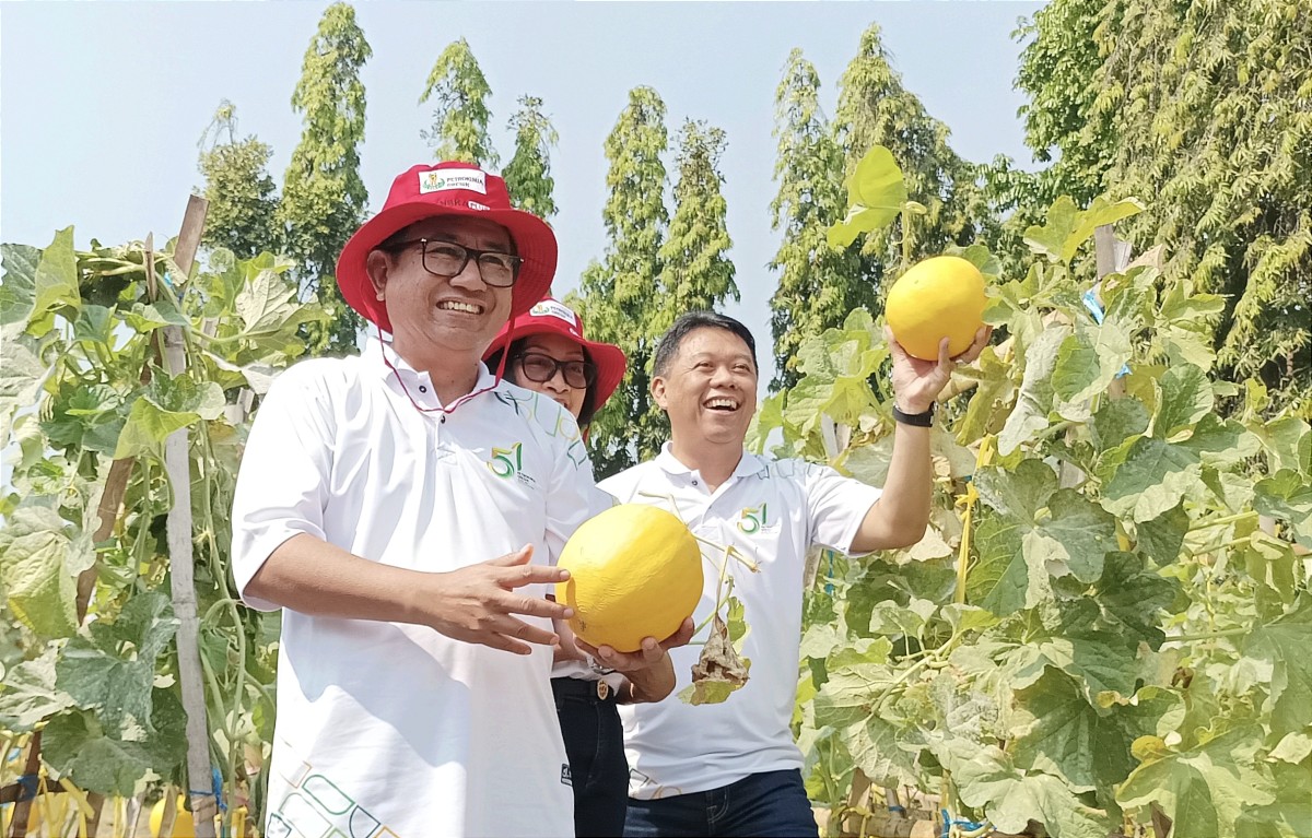 Dirut PT Petrokimia Gresik Dwi Satryo Annurogo saat melakukan panen buah di Kebun Percobaan (Buncop) (Foto: Sahlul Fahmi/jatimnow.com).