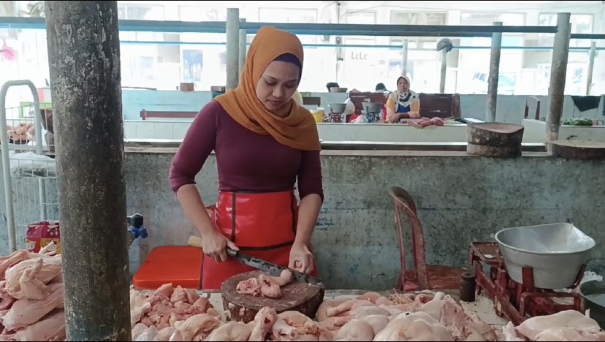 Harga Ayam di Pacitan Bertahan Rp40 Ribu per Kg, Pedagang Merugi