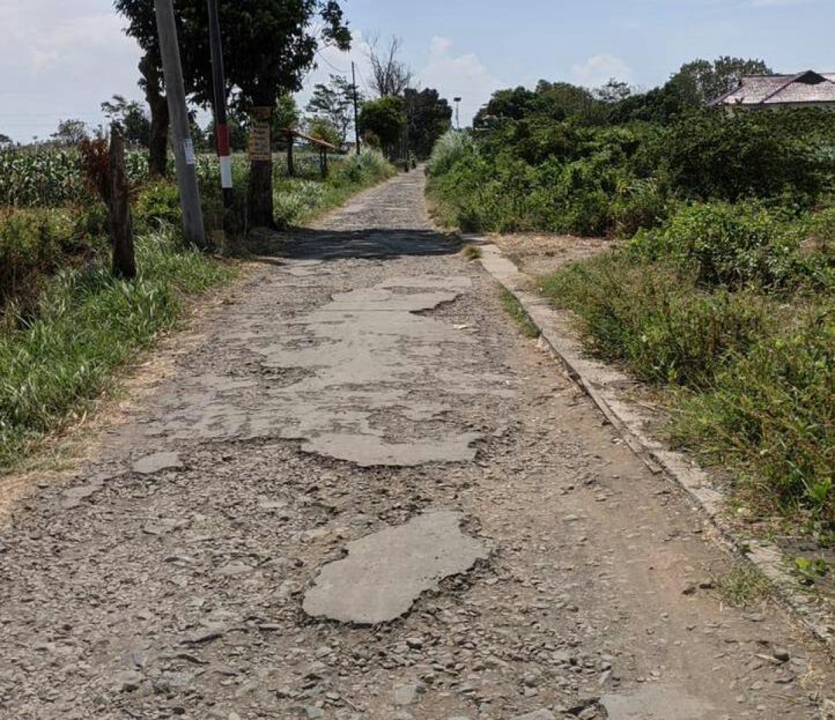 Warga Jalan Kerinci Protes 2 Tahun Jalan Rusak Parah, Ini Tanggapan Pemkot Probolinggo