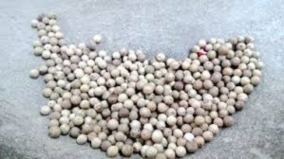 Ilustrasi kasus penipuan dan penggelapan jual beli merica (Foto: diadona.id for jatimnow.com)