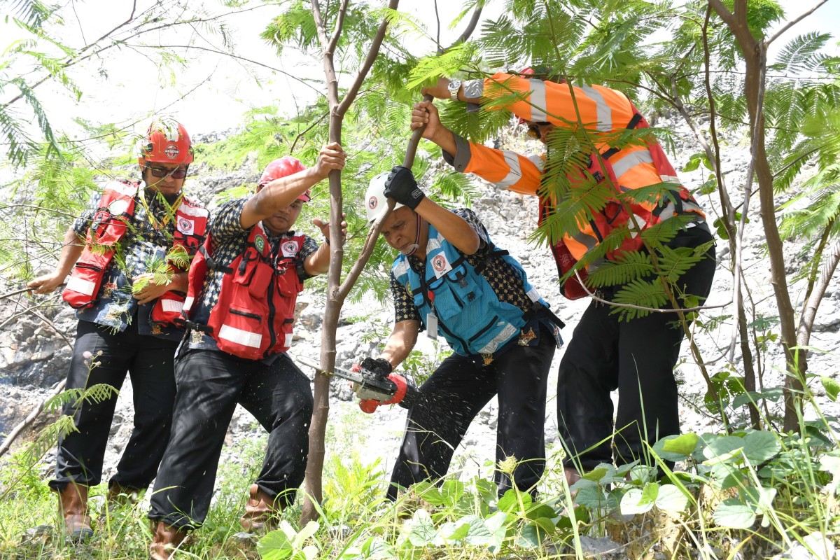 Direktur Utama PT Semen Padang, Asri Mukhtar (ketiga kiri) melakukan panen perdana pohon kaliandra merah di lahan reklamasi bekas tambang batu kapur PT Semen Padang. (Foto-foto: SIG/jatimnow.com)