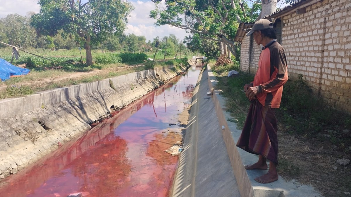 Air Sungai Mendadak Berubah Jadi Merah Gegerkan Warga di Pamekasan