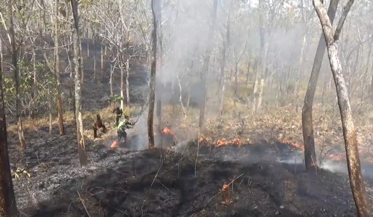 Hutan yang terbakar terletak di Jalan Raya Pulung-Sooko, mengakibatkan gangguan serius terhadap arus lalu lintas di lokasi.  (Foto: Ahmad Fauzani/jatimnow.com).