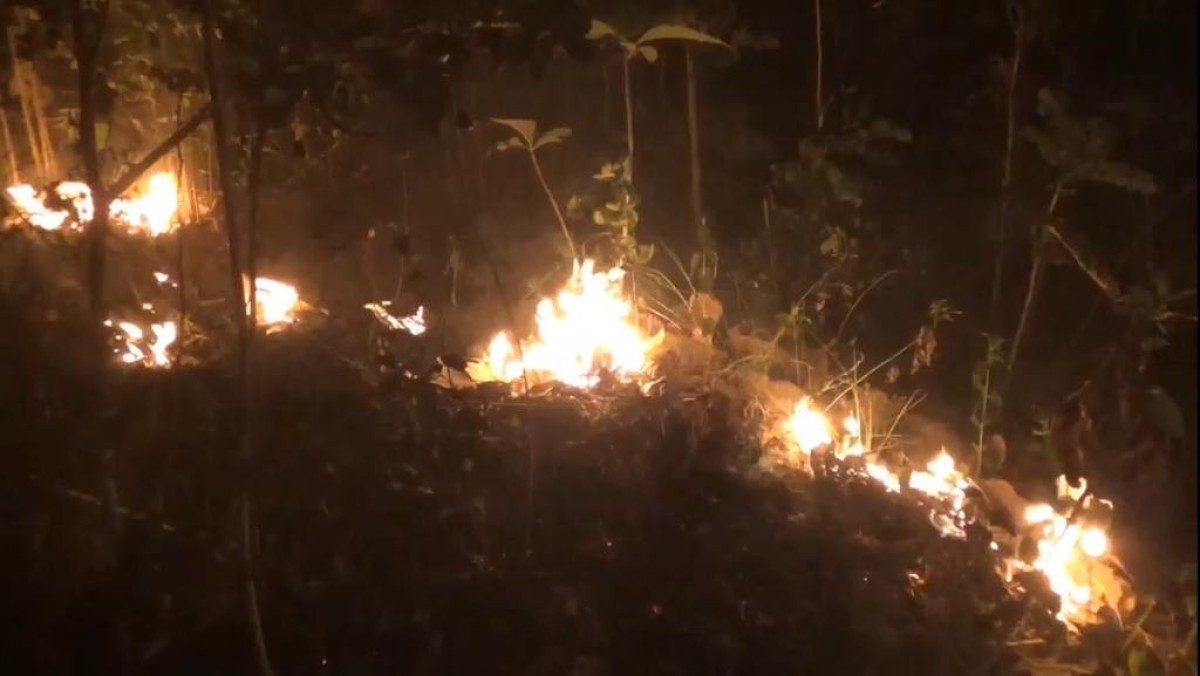 Hutan lindung seluas 2 hektar di Ponorogo terbakar (Foto: Polsek Sampung for jatimnow.com)