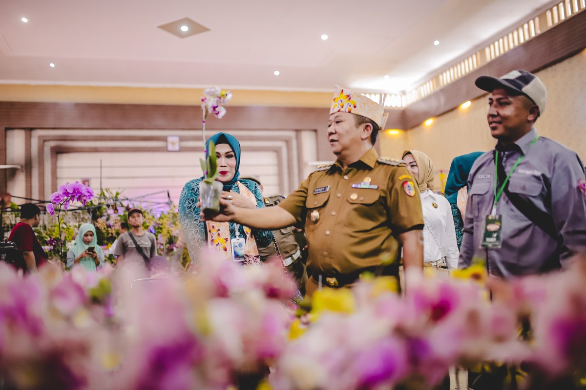 Pecinta Anggrek Merapat ke Jember, Yuk!