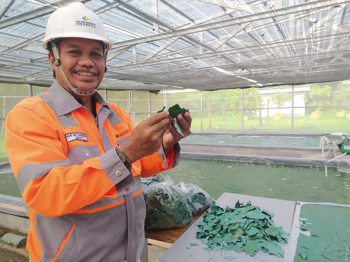 SIG Catatkan Laba Rp866 Miliar pada Semester I 2023