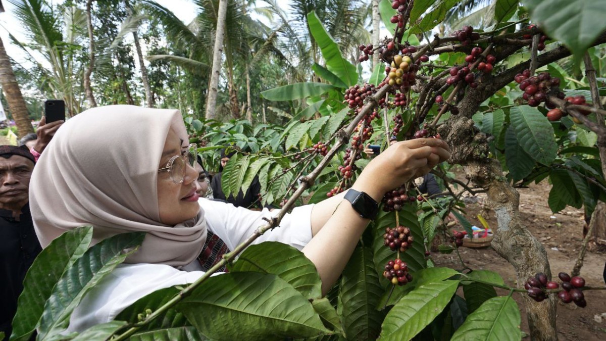 Bupati Banyuwangi Ipuk Fiestiandani. (Foto: Humas Bupati Banyuwangi)