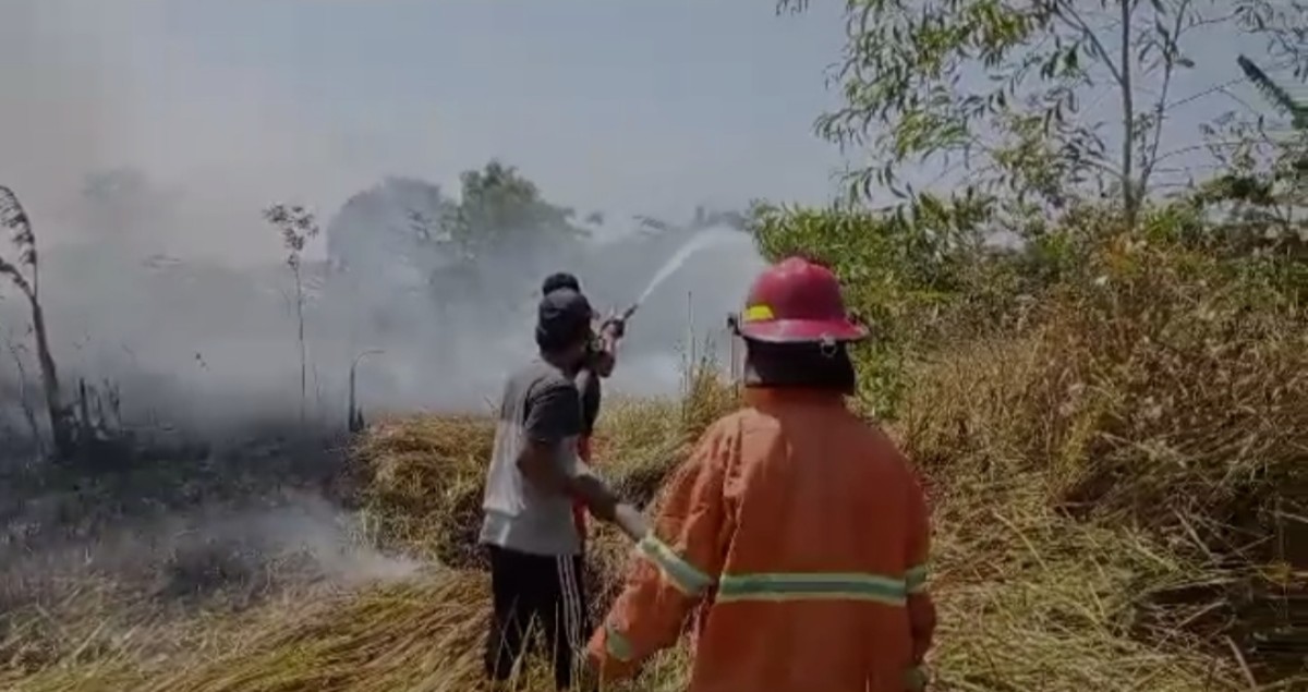Ratusan Kayu Meranti Terbakar di Lahan Bekas Pabrik Tekstil