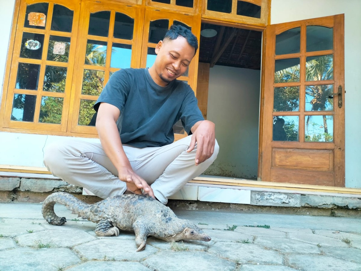 Penemuan Tenggiling di Ponorogo (Fajar for jatimnow.com)