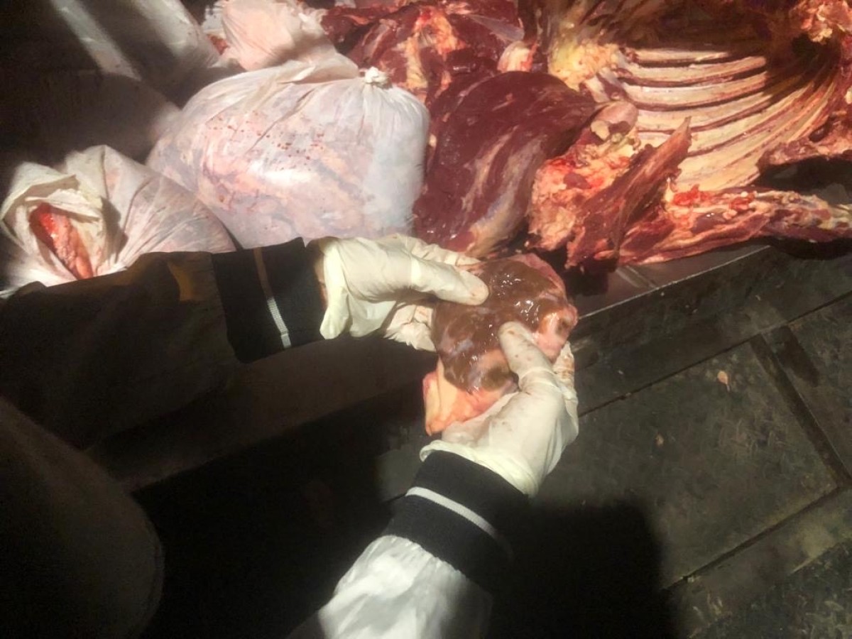 Daging gelonggongan. (Foto: Pemkot Surabaya for jatimnow.com)