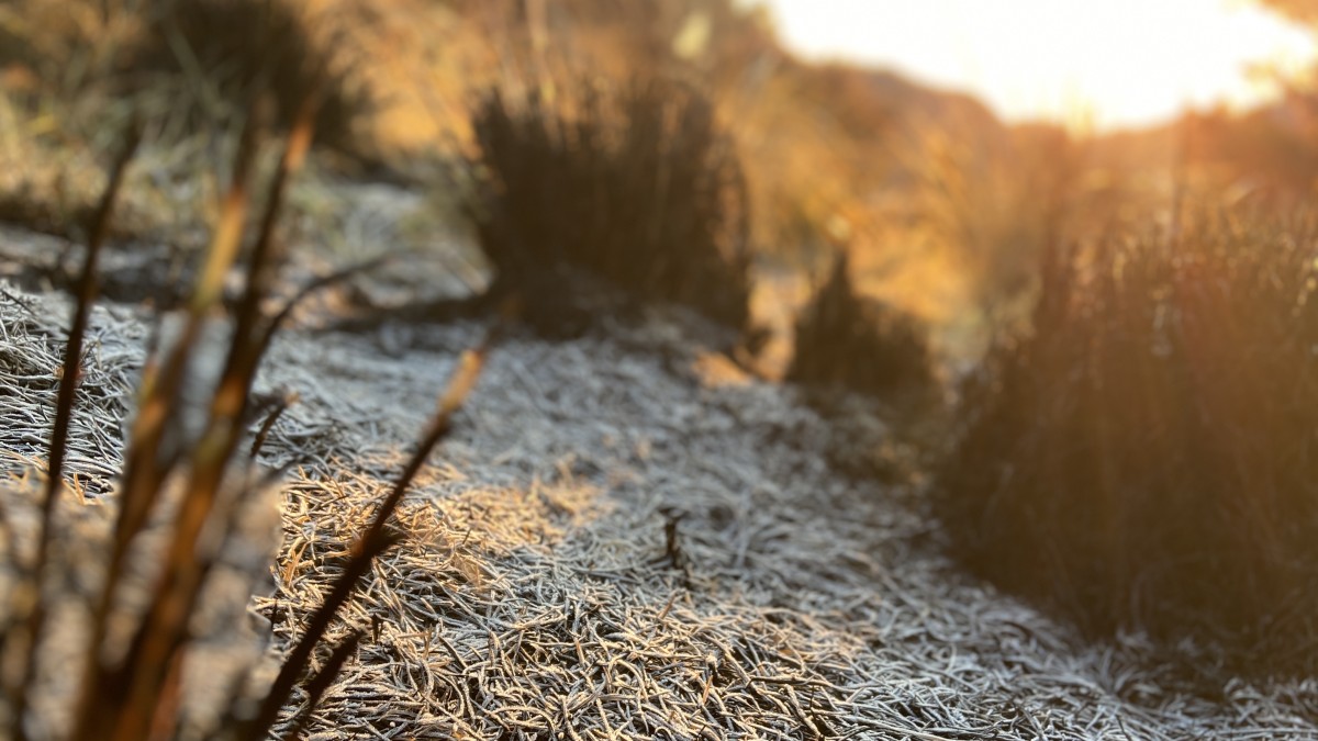 Kristal es di kawasan wisata Gunung Bromo. (Foto: Yanuar Dedy/jatimnow.com)