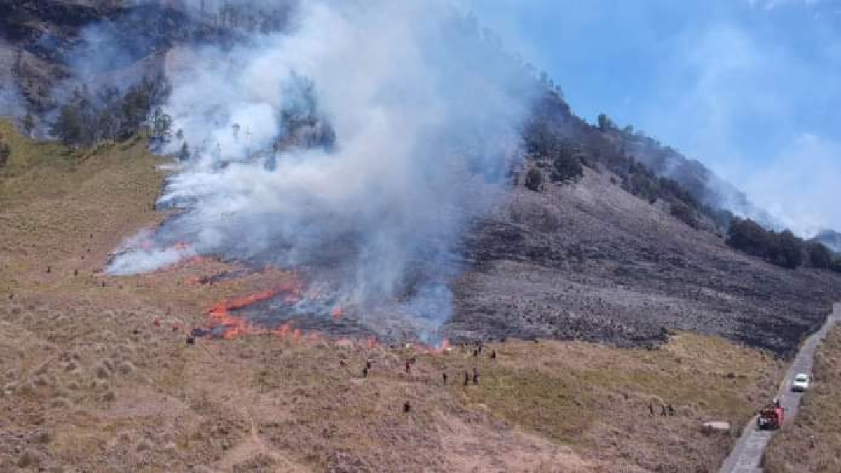 Kebakaran yang terjadi di kawasan Gunung Bromo. (Foto: Achmad Titan/jatimnow.com)