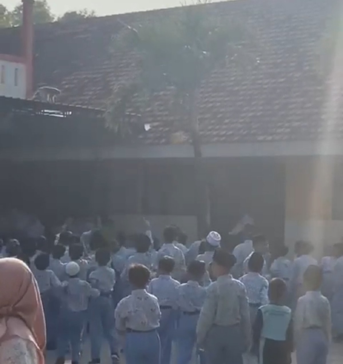 Lepas dari Kandang, Monyet Lukai 6 Orang dan 1 Siswa SDN Mlajah 2 Bangkalan