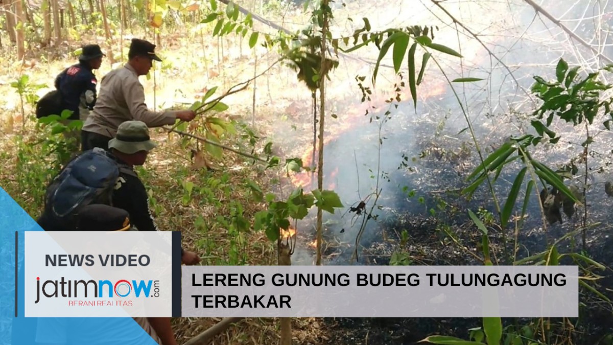 Video: Lereng Gunung Budeg Tulungagung Terbakar