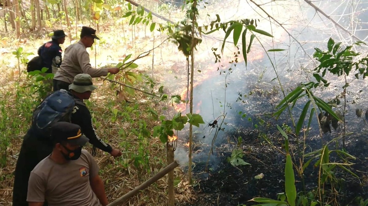 4 Kali Terbakar, Satwa di Gunung Budeg Tulungagung Terancam Kehilangan Habitatnya