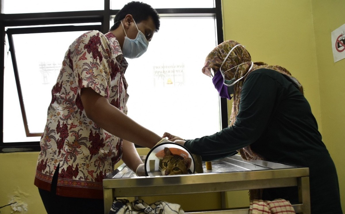 Layanan UPTD Klinik Hewan, di Jalan Ikan Dorang Nomor 15, Perak Barat, Surabaya (Foto: Pemkot Surabaya for jatimnow.com)
