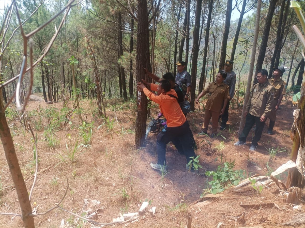 Huntara Warga Terdampak Tanah Retak Ponorogo Segera Dibangun