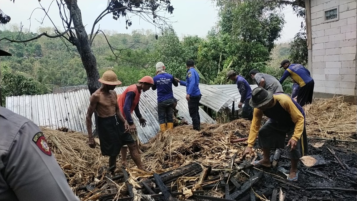 Kondisi kandang sapi pasca kebakaran di Lereng Wilis Kediri. (Foto: Kamid for jatimnow.com)
