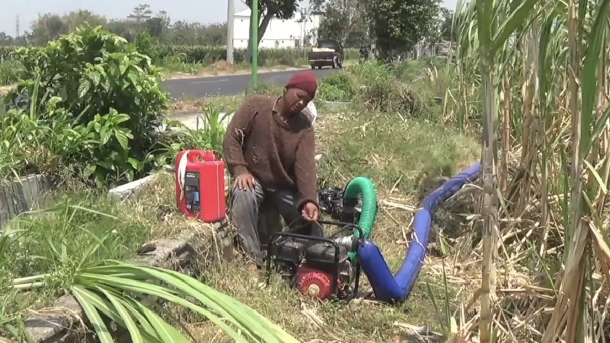Petani di Kecamatan Ngasem, Kabupaten Kediri. (Foto: Yanuar Dedy/jatimnow.com)
