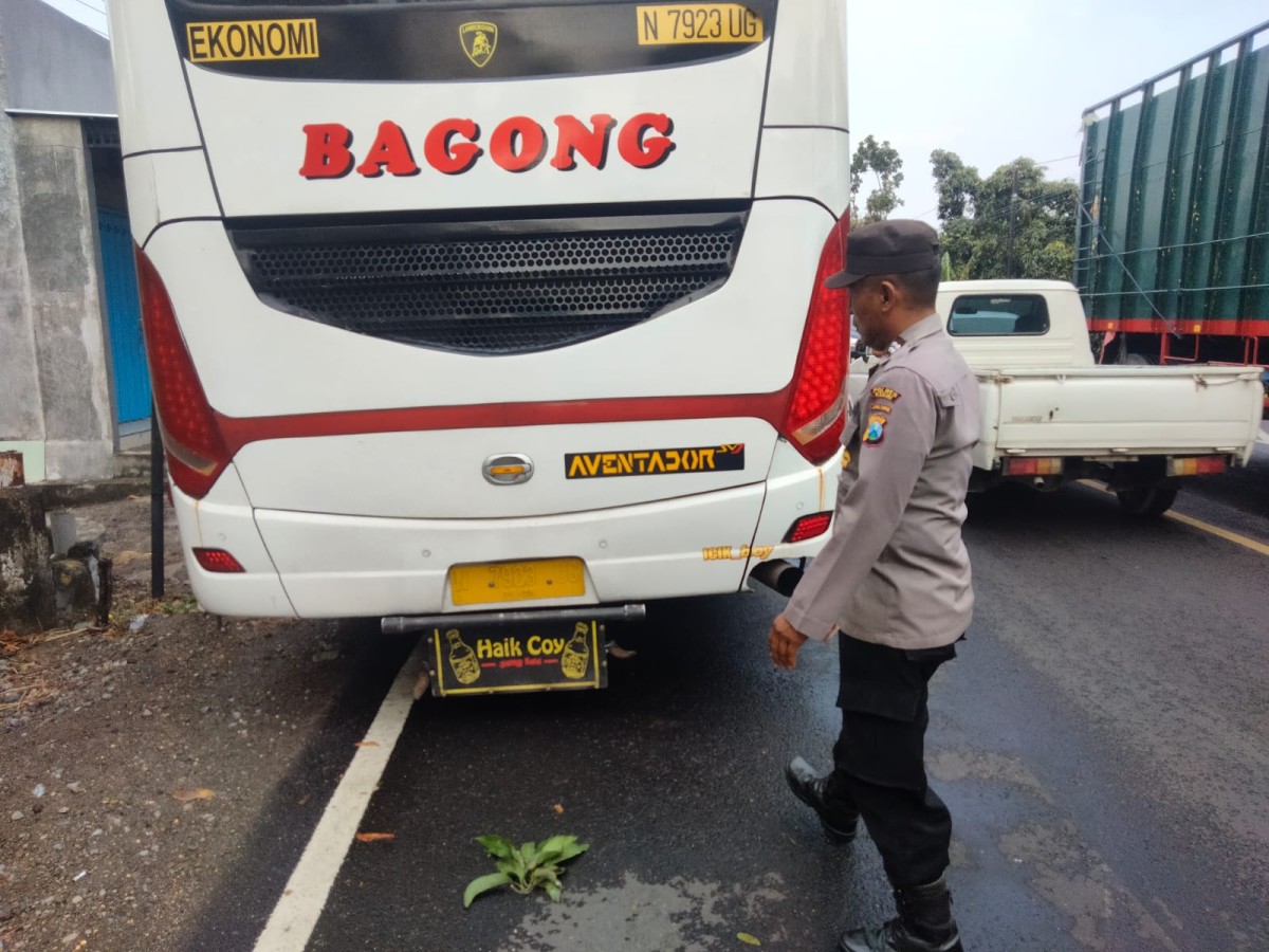 Bus Bagong yang terlibat kecelakaan. (Foto: Polsek Papar for jatimnow.com)