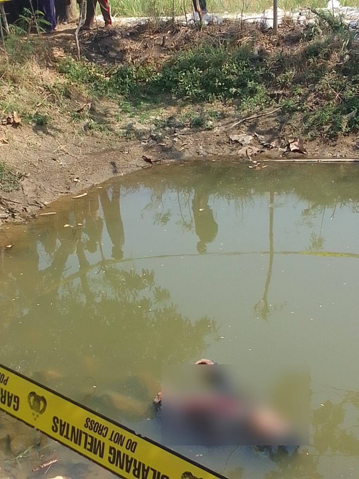 Mayat misterius di empang sawah Desa Tebluru, Kecamatan Solokuro, Lamongan. (Foto: Humas Polres Lamongan for jatimnow.com)