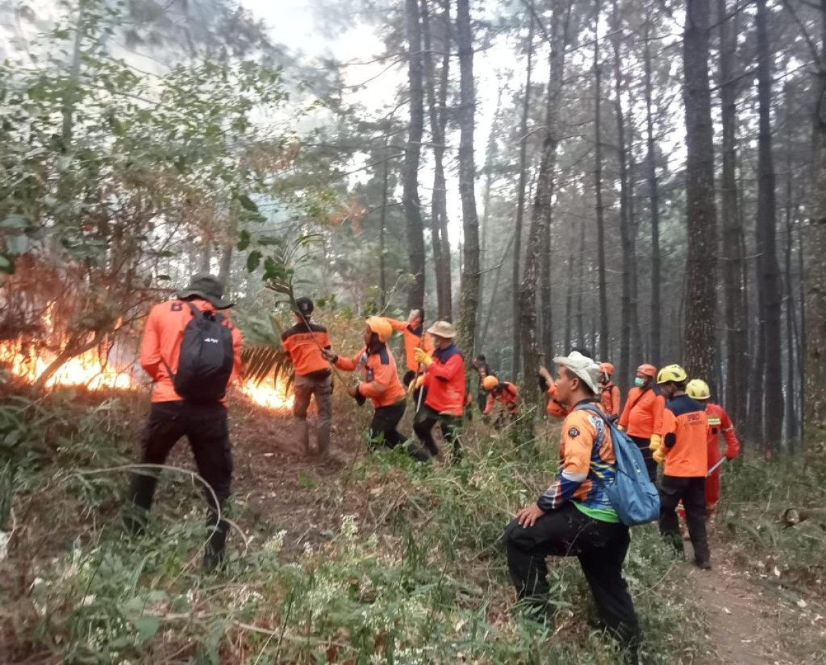 Upaya pemadaman api di Gunung Lawu oleh BPBD (Foto-foto: BPBD Jatim for jatimnow.com)
