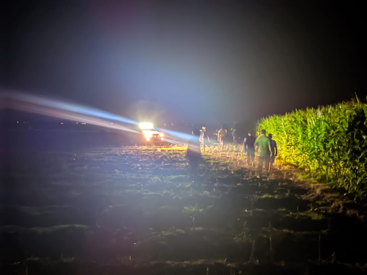 Petugas Damkarmat bersama Satpol PP dan warga melakukan penyisiran di lokasi diduga munculnya macan di areal ladang jagung Desa Dukuhlor. (Foto: Damkarmat Bojonegoro for jatimnow.com)