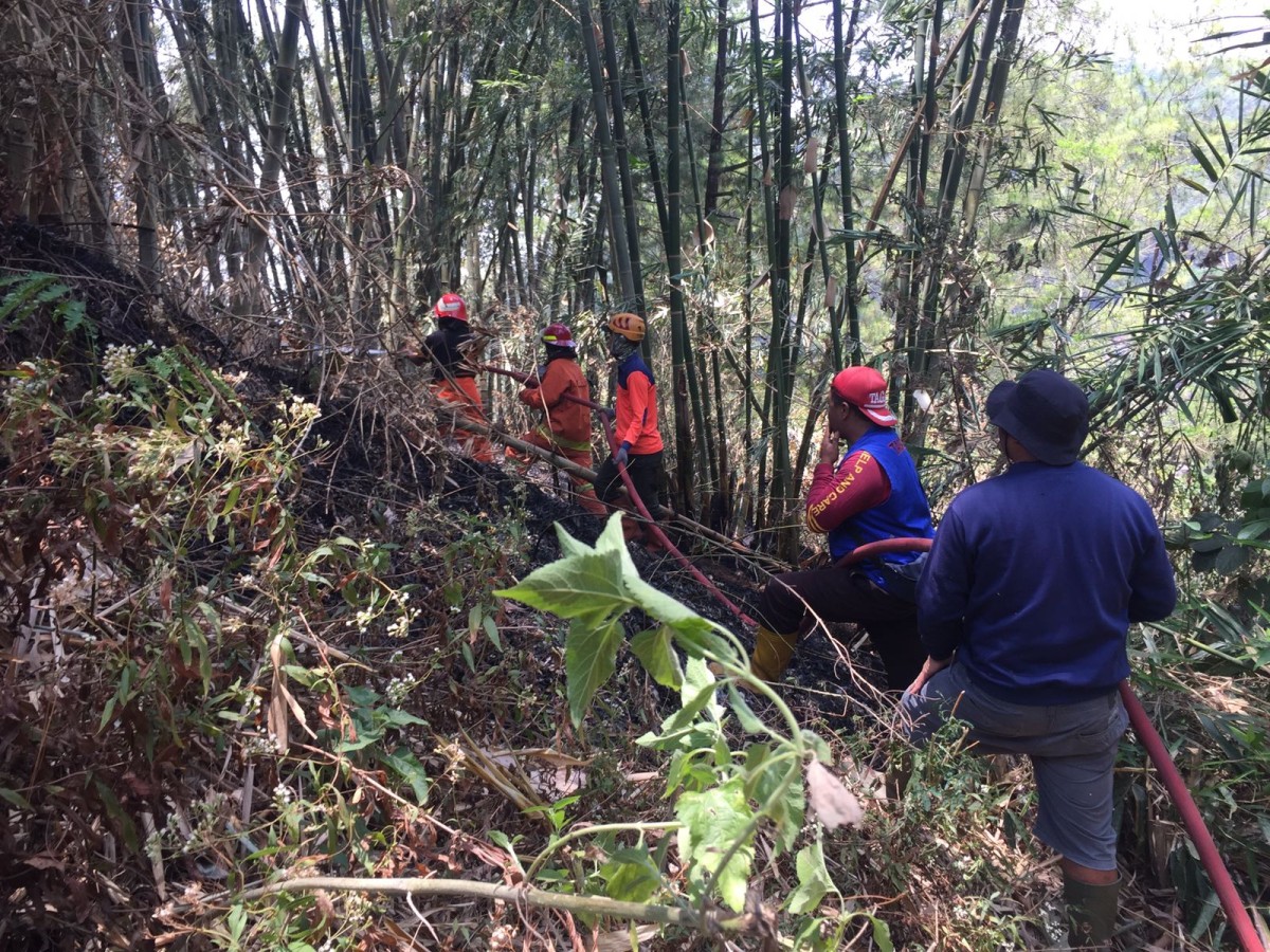 Pemadaman kebakaran yang dilakukan petugas gabungan. (foto: BPBD Kota Batu for jatimnow.com)