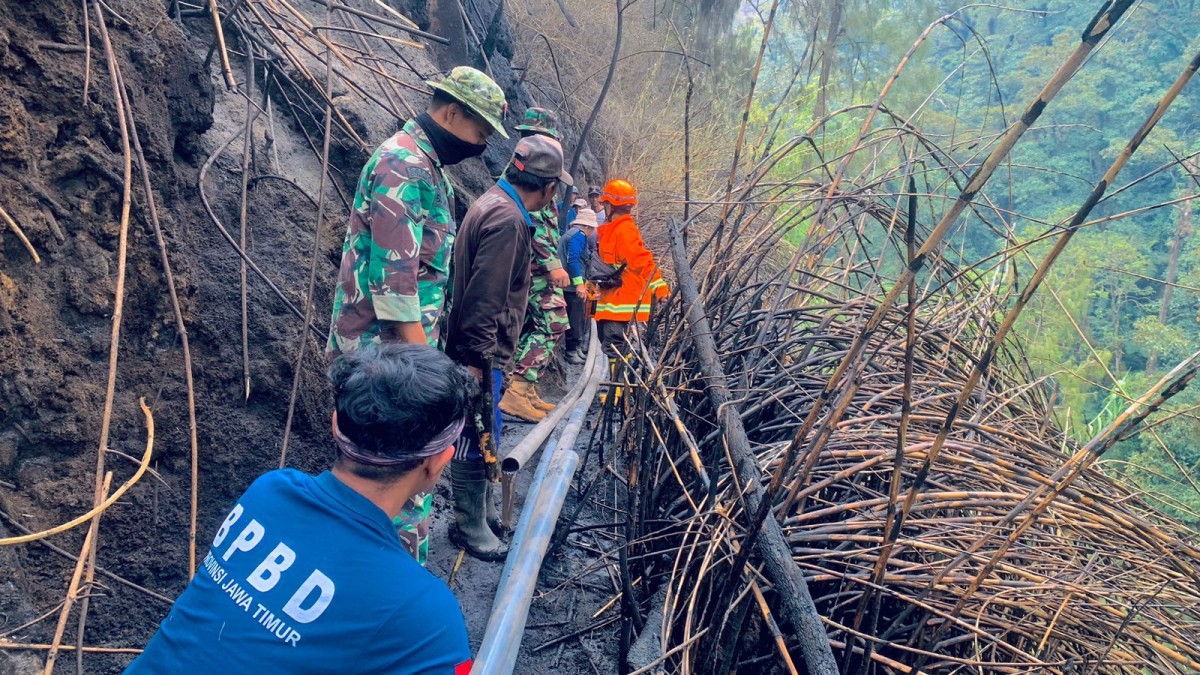 BPBD Jatim Kembali Terjunkan Personel Tangani Kebakaran Hutan Gunung Lawu