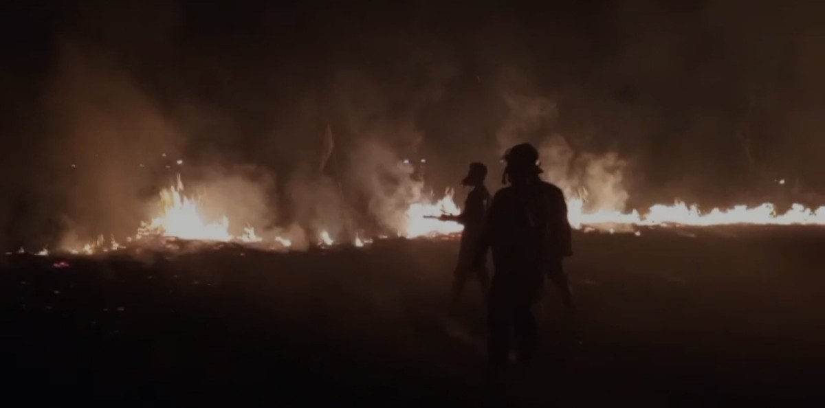 Kebakaran lahan 5 hektare di Bangkalan. (Fotol Damkar Baangkalan for jatimnow.com)