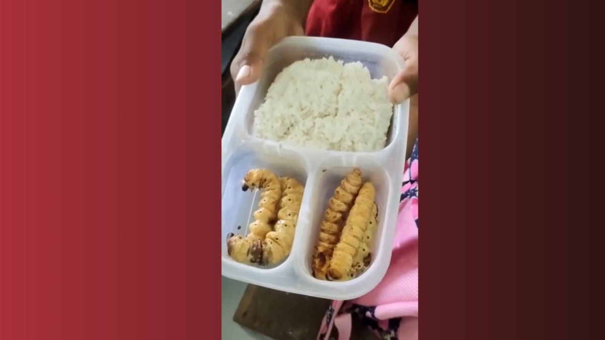 Tangkap layar video Siswa SD yang menunjukkan bekal makanan ulat besar dan nasi (Foto: Misbahul Munir/jatimnow.com)