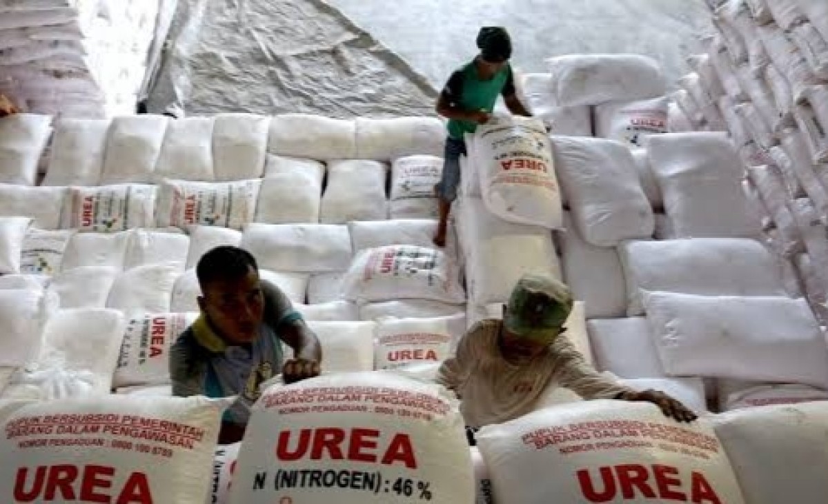 Ilustrasi. Pupuk bersubsidi di Sampang dijual di atas HET. (Foto: Fathor Rahman/jatimnow.com)