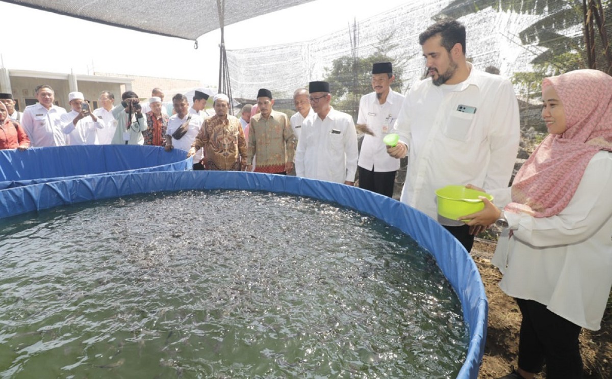 Wali Kota Probolinggo, Habib Hadi Zainal Abidin menyempatkan memberi makan lele. (Foto:  probolinggokota.go.id)