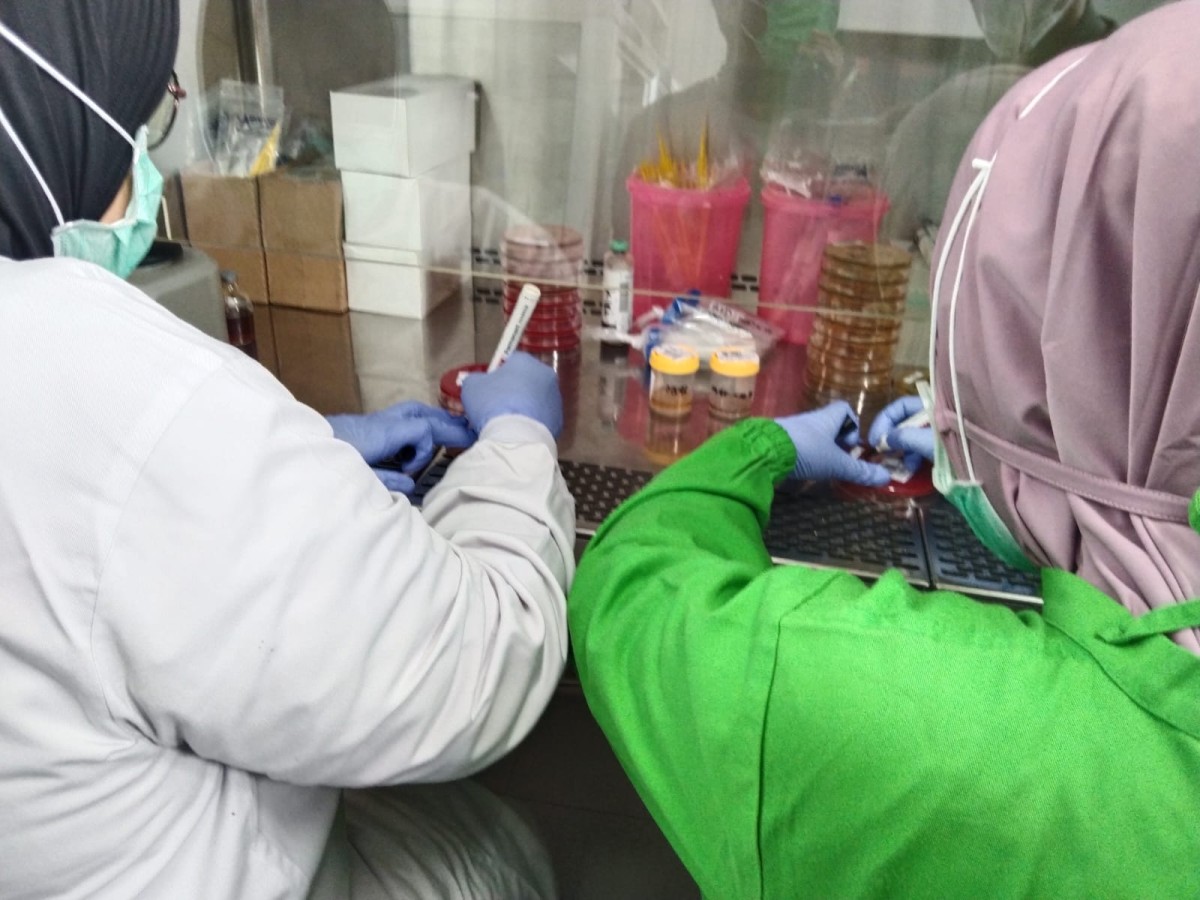 Periksa Kanker Serviks Termurah di Indonesia Ada di Tulungagung, Kok Bisa?