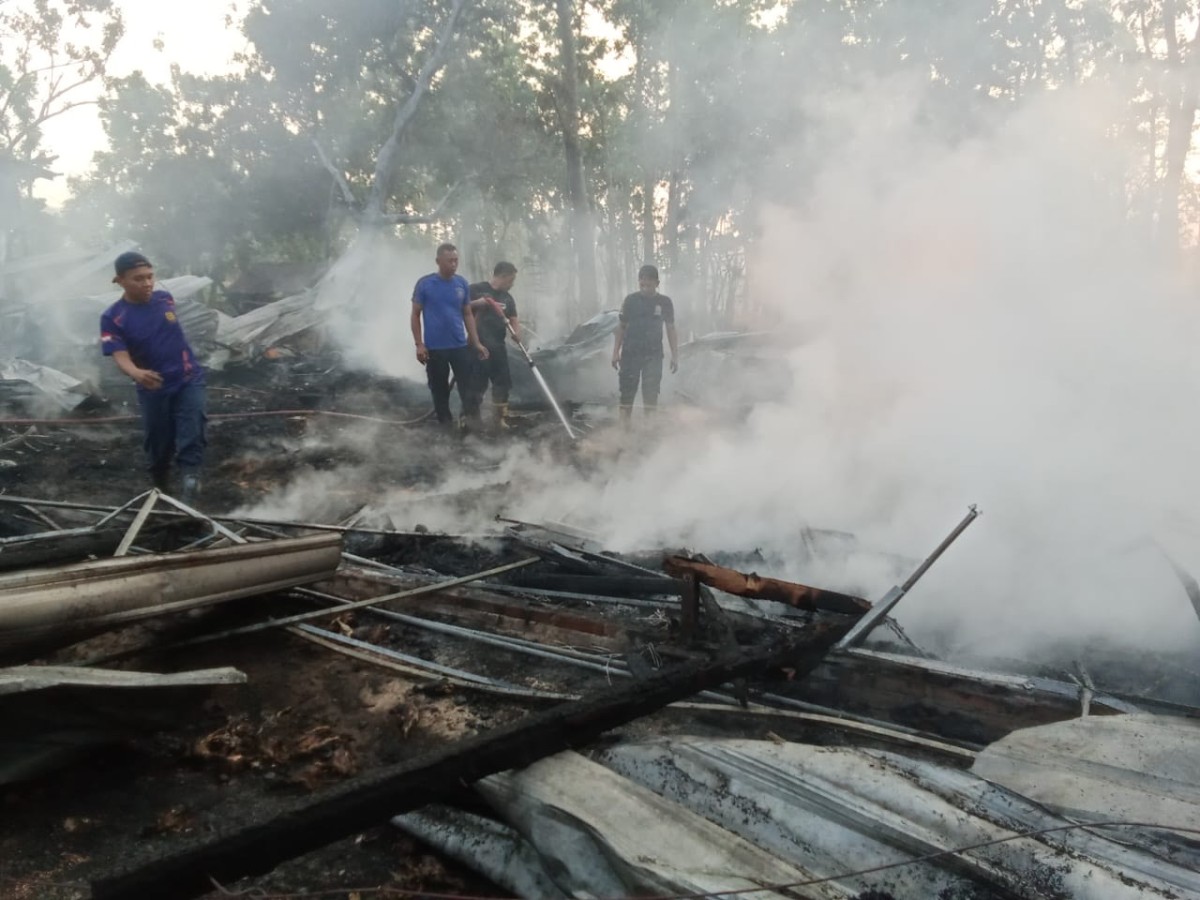 14 Ribu Ayam Mati Terpanggang di Ponorogo, Kerugian Rp1,3 Miliar