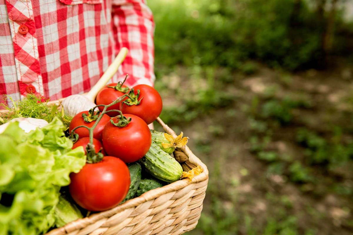 Ilustrasi buah dan sayur. (jovee.id for jatimnow.com)