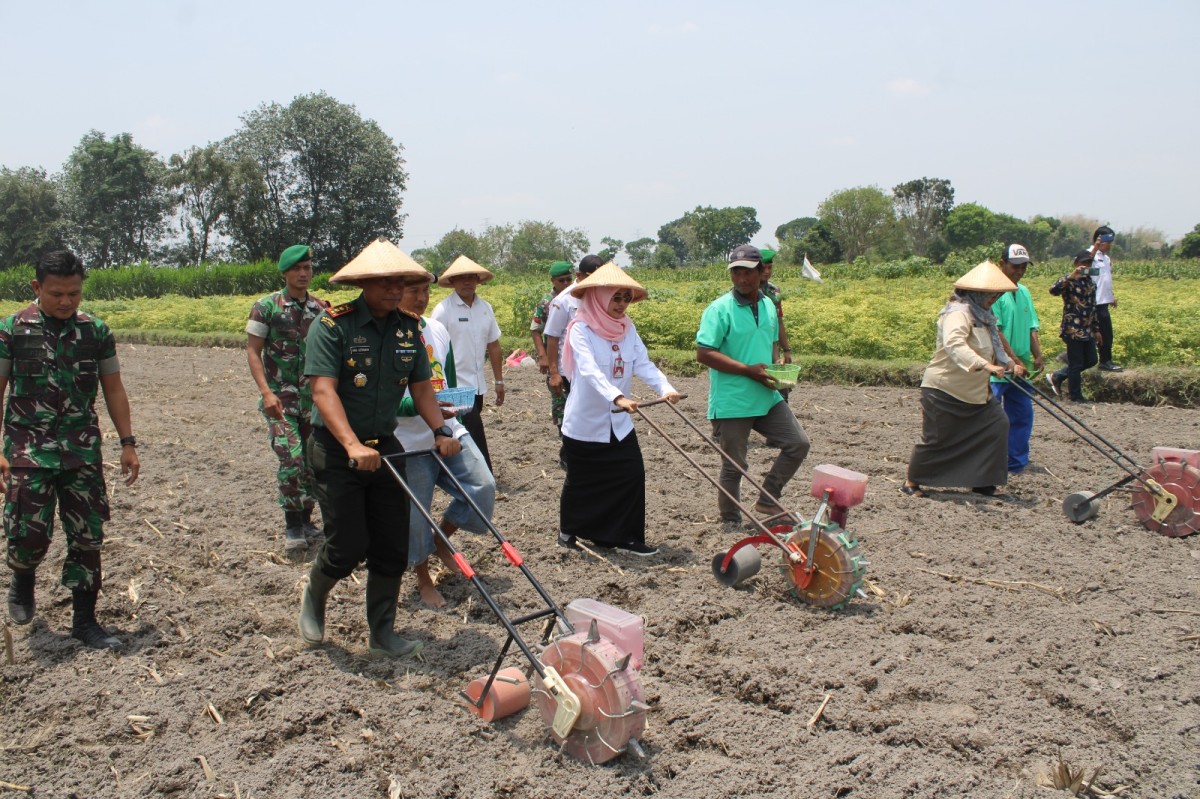 Wakil Bupati Kediri Mariya Ulfa dan Dandim 0809 Kediri menanam jagung di Plosoklaten. (Foto: Humas Pemkab Kediri for jatimnow.com)