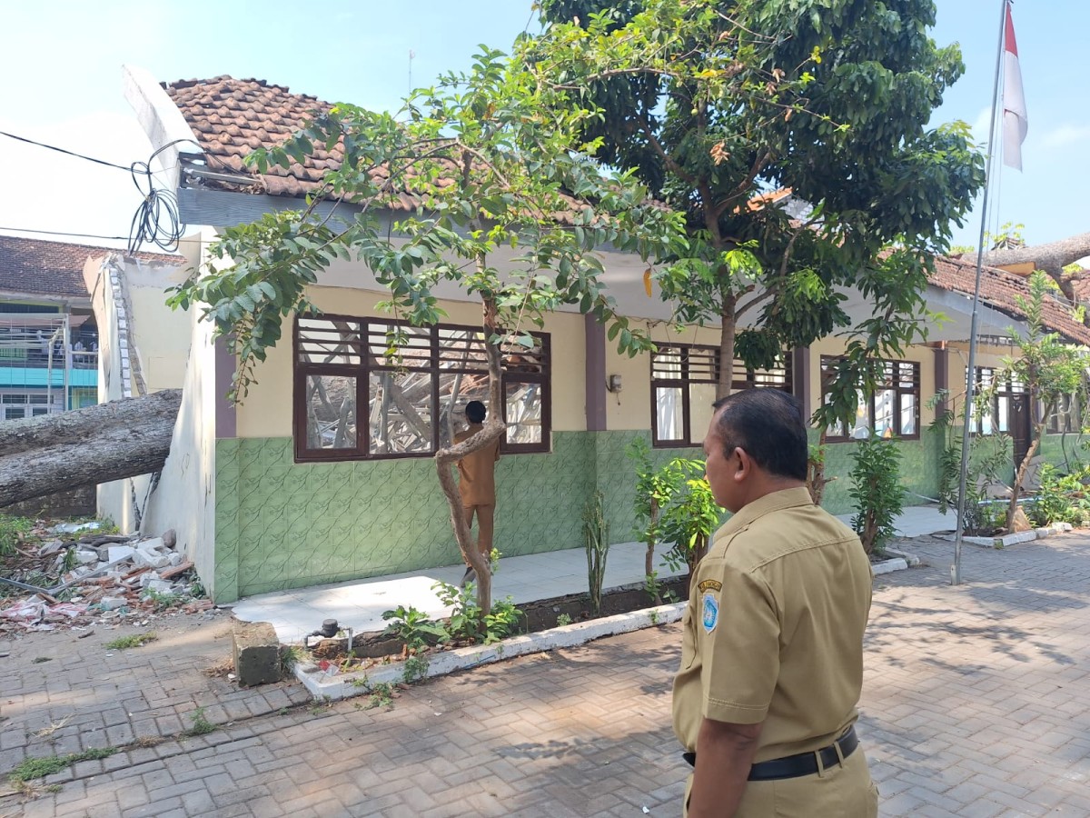 Kepala Dinas Pendidikan Lamongan, M. Munif Syarif saat meninjau sekolah tertipa pohon besar. (Foto : Adyad Ammy Iffansah/jatimnow.com)