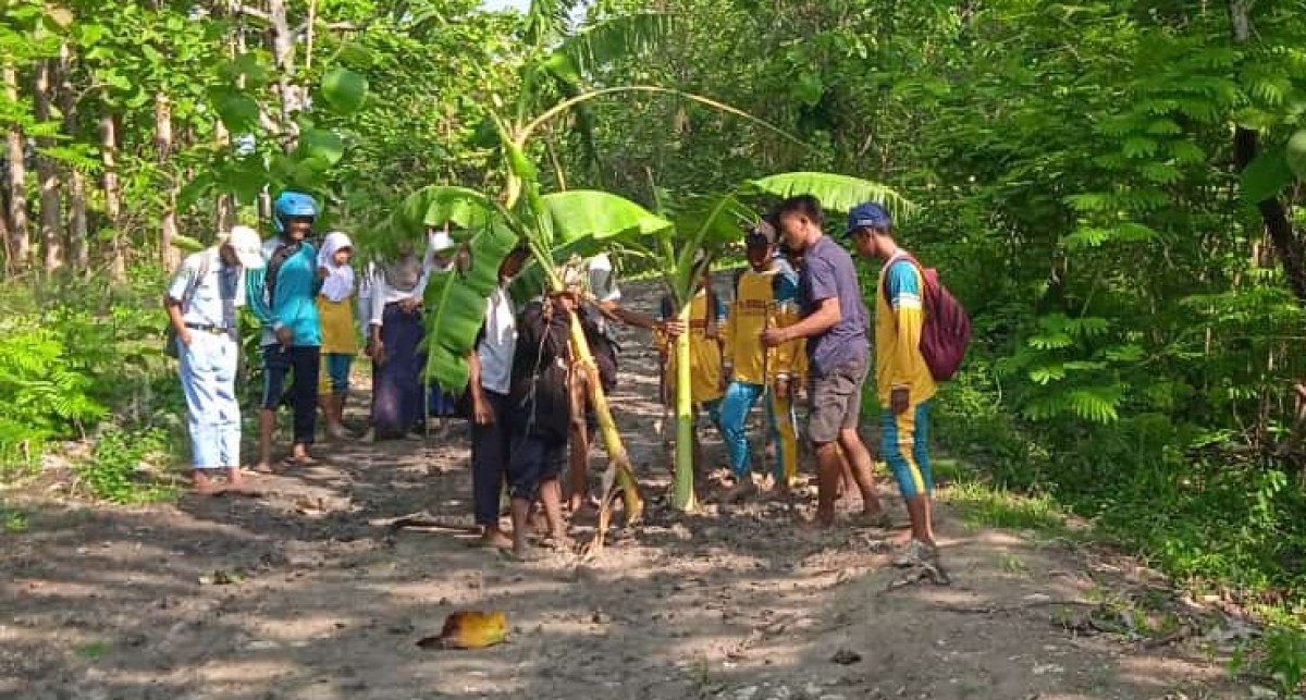 Sejumlah pelajar asal Desa Ngelo tanam pohon pisang di tengah jalan. Protes jalan rusak hingga tidak bisa sekolah. (Foto: tangkapan layar)