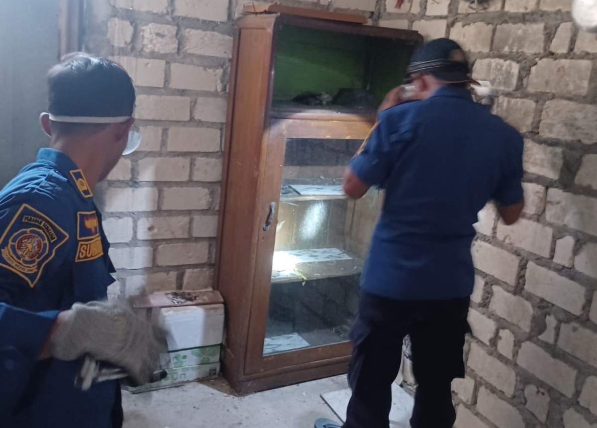 Damkar Lamongan saat mengevakusai ular cobra di rumah salah satu warga di Kecamatan Pucuk, Lamongan. (Foto : Damkar Lamongan for jatimnow.com)