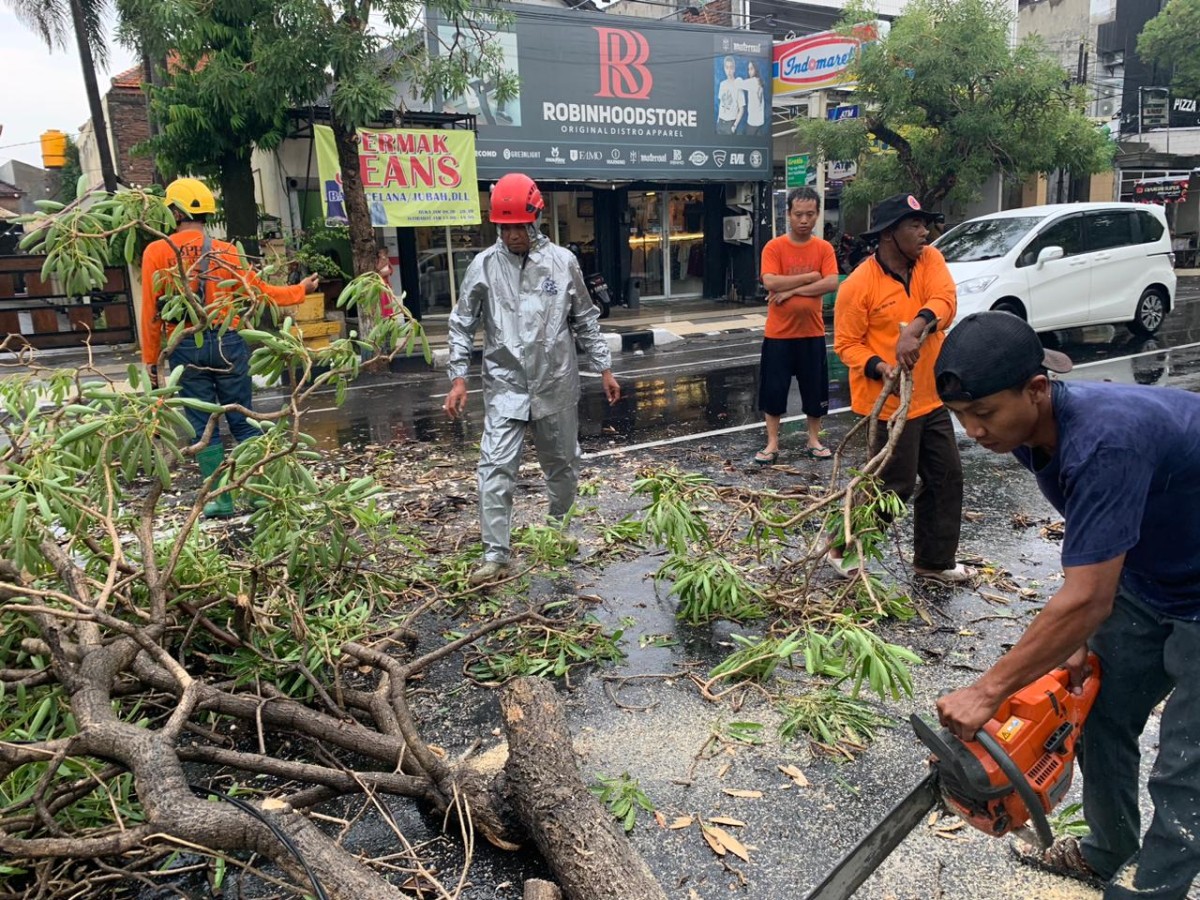 Hujan Lebat di Lamongan, Pohon Tumbang hingga Genting Rumah Tersapu Angin