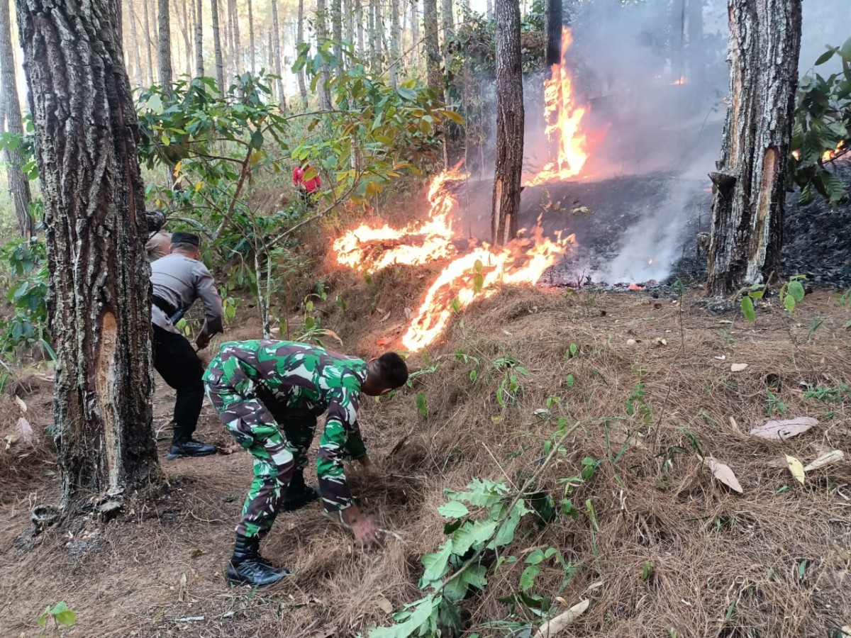 Petugas saat berusaha memadamkan kobaran api. (Foto: BPBD Trenggalek)