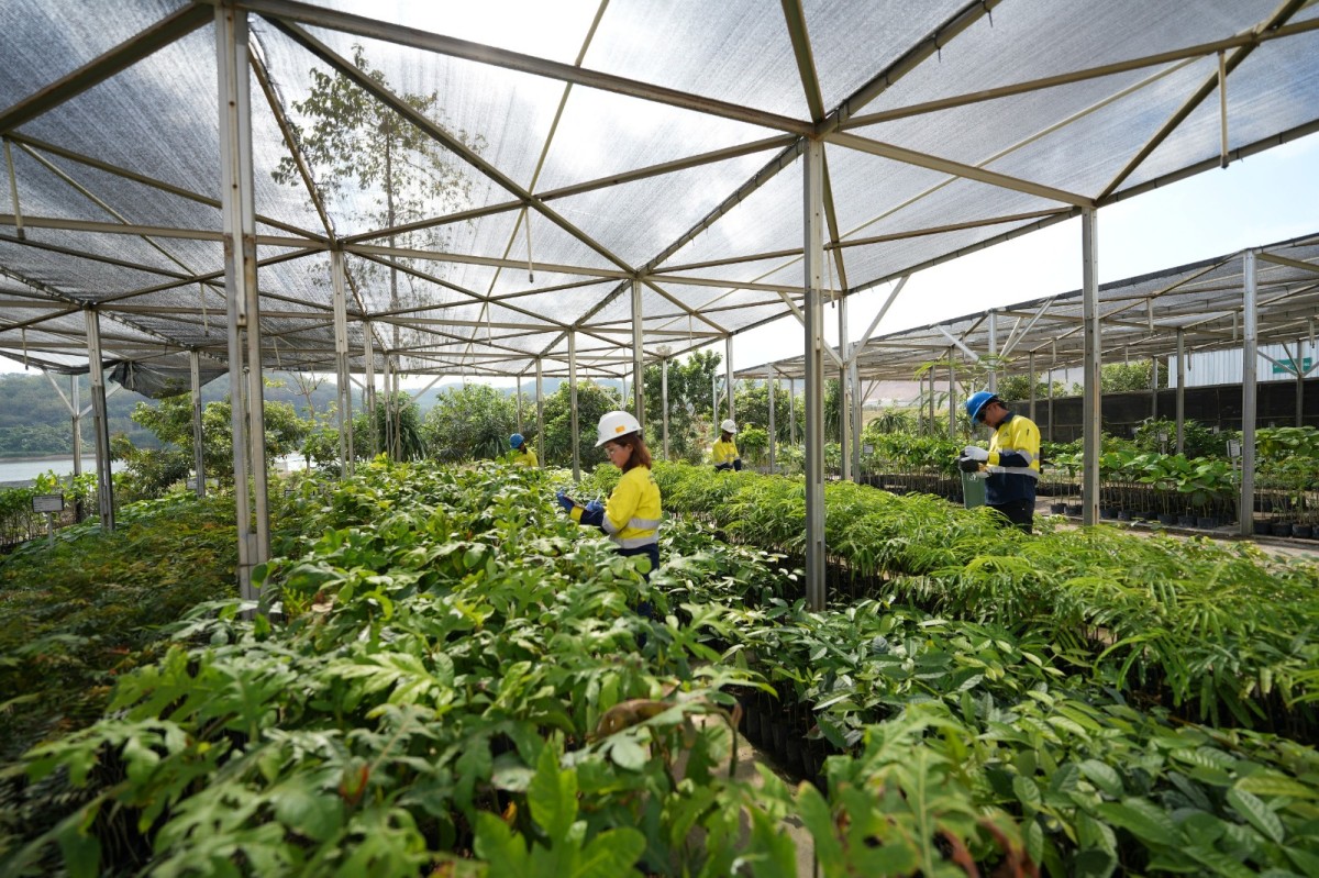 Foto: Humas PT Merdeka Copper Gold Tbk