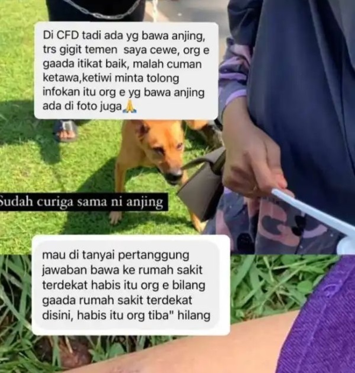 Kota Malang Bakal Sediakan Rabies Center di 5 Kecamatan