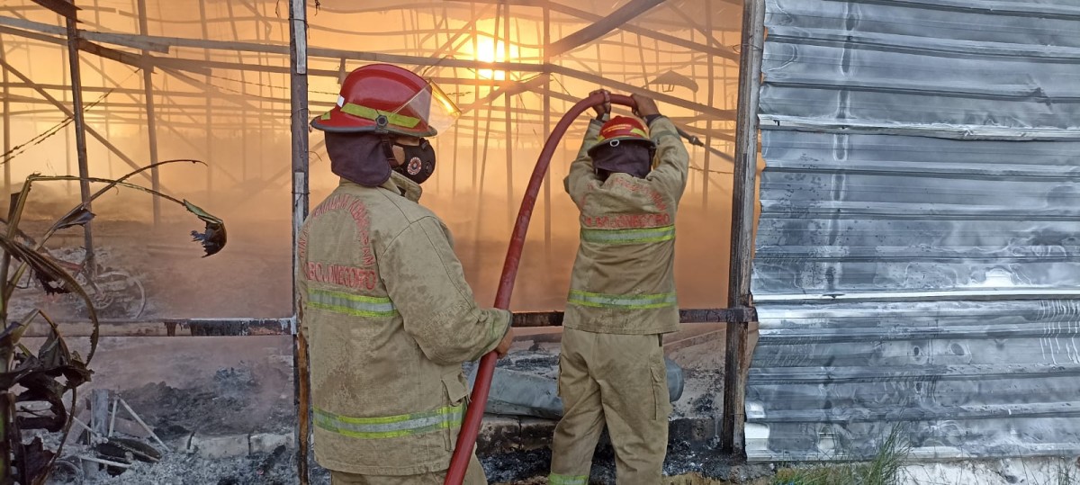 Petugas Damkar Bojonegoro saat memadamkan kebakaran kadang ayam di Dander (Foto: Damkar Bojonegoro)
